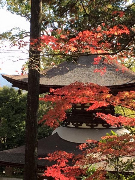 7年前のお誕生日、夫と西国33ヶ寺巡り