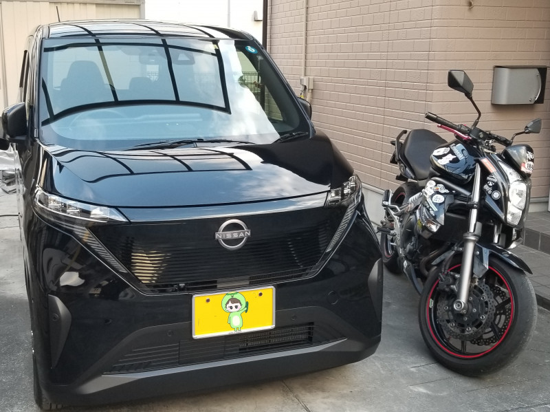 新入りよろしく