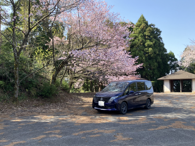 みんなで作るNISSANカレンダー2025 - 日産ドライブナビ