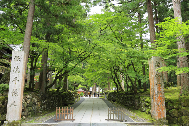 曹洞宗永平寺