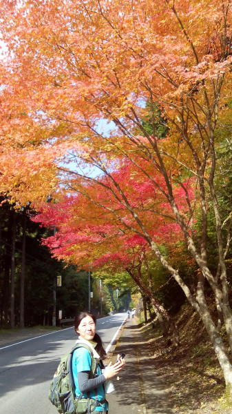 紅葉の中を歩く妻