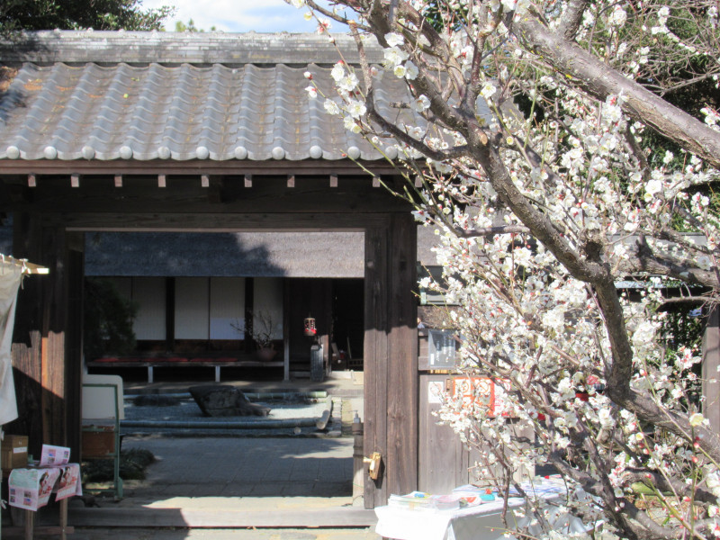 かやぶき屋根の古民家