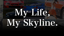 My Life, My Skyline. 