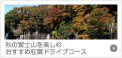 秋の富士山を楽しむおすすめ紅葉秋ドライブコース