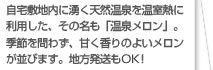 自宅敷地内に湧く天然温泉を温室熱に利用した、その名も「温泉メロン」。季節を問わず、甘く香りのよいメロンが並びます。地方発送もOK！