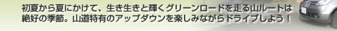 初夏から夏にかけて、生き生きと輝くグリーンロードを走る山ルートは絶好の季節。山道特有のアップダウンを楽しみながらドライブしよう！