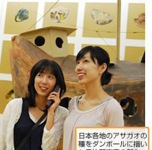 日本各地のアサガオの種をダンボールに描いた日比野克彦の新作。日比野克彦自身が解説する音声ガイドもオススメ。