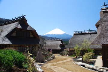 4月の癒しの里からの富士山 富士山さん