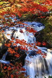 滝と紅葉のコラボレーションが最高です mosshiさん