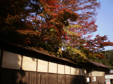 秋になると小京都みたいです thisisajinさん