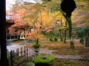 禅寺の秋は日本の美ですね！ よっしーさん