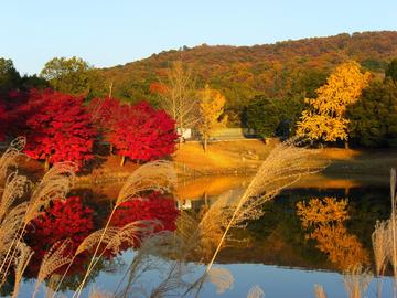 湖面に映る秋の風物詩。 Eiffelさん