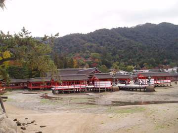 厳島神社の遠景 ペー助さん