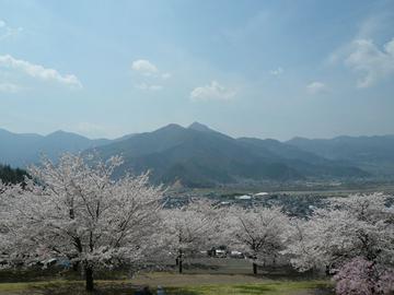 桜の向こうに見える山脈 だらっくまさん