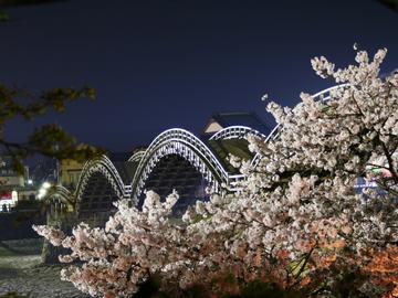 夜桜の中の錦帯橋 やすださん