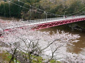 豊川に掛かる赤い橋がスポットです。 いびちゃんさん