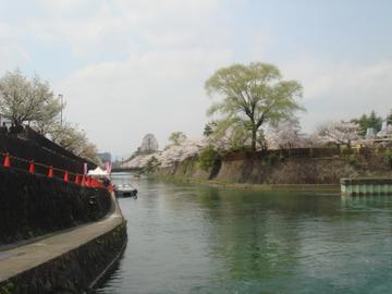 疎水と船と桜 あっきさん