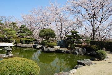 日本庭園 Ｕｍｉさん