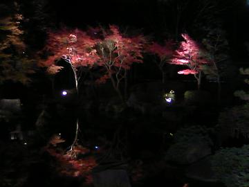 ライトアップされて、水面に移る紅葉がきれいです。 りょ〜まさん