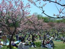 札幌平岡公園