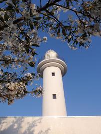 桜と真っ白な灯台 bnr32hroさん