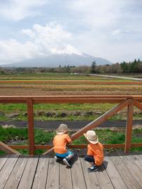 富士山も素敵だけどチューリップが素敵 双子ママさん