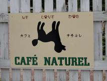 Cafe Naturel