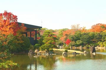 秋の日本庭園は見事に色付きます 50322361さん
