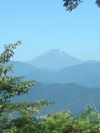 ほとんど雪のない富士山です！ セッゴクマさん