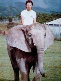 南紀白浜アドベンチャーワールド アフリカ象に乗ってま～す。 ジグソウさん