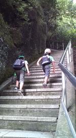 子供達は元気に階段を登ります。ミヤマクワガタ２匹ゲット！ しのさん