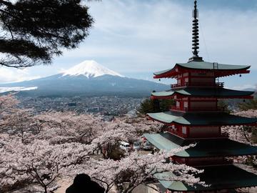 五重塔と富士山と松の木のコラボレーションです♪ あらじんさん