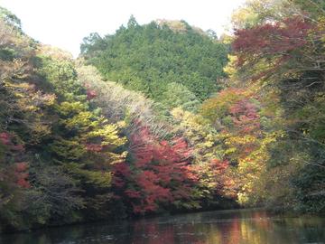 ちょっと早かった亀山湖の紅葉！！ chiki2tan2さん