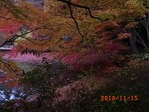 神戸市立森林植物園