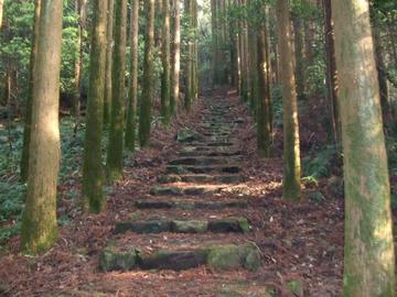 中岳神社へと続く石段道 さくらじまさん