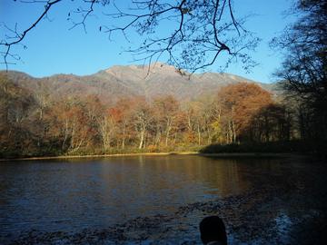 池に映る紅葉が最高です。 ryo33さん