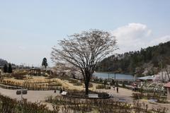 東沢バラ公園