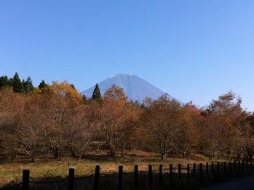 小田貫湿原から見える富士山 Nackeyさん