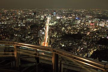東京の夜景・・・1人占め！！ お魚さんさん