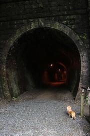昔は鉄道のトンネルでした セスmamaさん