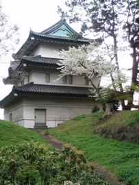 富士見櫓と桜 peruさん