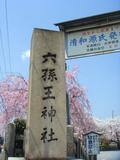 清和源氏の発祥の宮として有名。