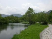 木道と池