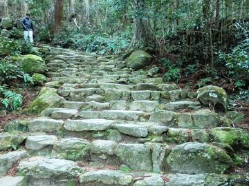 お寺から滝までの道がまるで熊野古道みたいです mippyさん