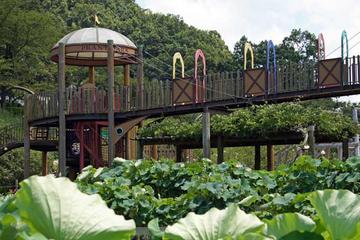 和歌山県植物公園緑花センター
