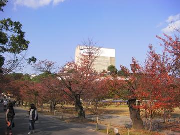 ２０１５年に完成する平成の大修理の姫路城。建屋の前で秋を満喫 hujimasutaさん
