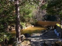 森林浴と黄褐色の湯に満足の秘湯