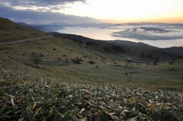 美幌峠展望台から見る屈斜路湖の雲海 はなくそオヤジさん