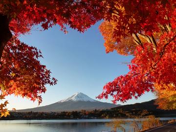 富士山と紅葉 ななちゃんさん