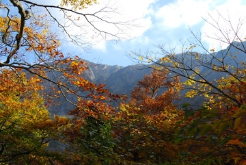 秋の大山（紅葉） ここあさん